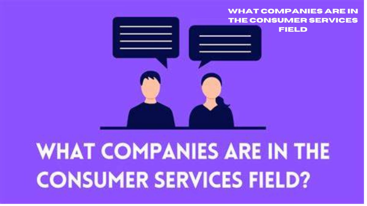 What Companies Are in the Consumer Services Field?